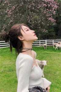 悄悄苟了前年，系统竟让我去当舔狗全文独孤灵徐霄