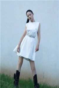 权力法则无删减全文