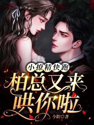 待蔷薇盛放时林初暖顾淮南全局
