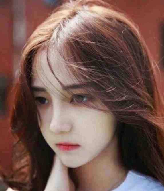 姐姐假装失忆后，后悔了容钰容念全文小说