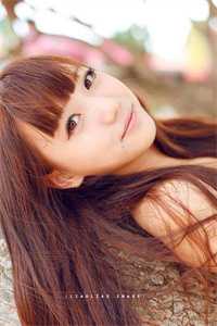 有孕出逃，京圈大佬气疯了穆霆琛陈婉婉完结版小说