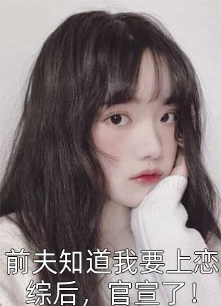 江晨苏倾城写的小说分手后，清冷女教授带崽找上门