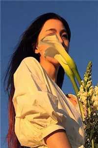 小说不与迦南见芳菲(姜星玥萧文元)