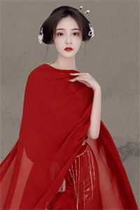 小说奇葩相亲对象(林小琳何文东)