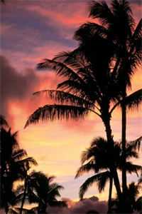 叶凡柳寒烟老婆生了个儿子，资助生和我抢着当爸爸小说全文免费阅读