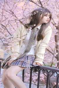 误了芳菲，负了情长热门小说许芳菲傅寒深