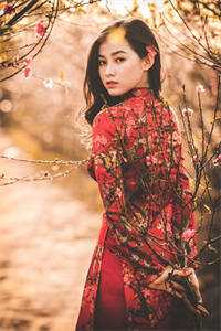 抚养多年的弃婴读完博士，亲妈就来认领了热门小说秦晓楚北辰