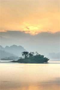 只等冬去，春来谢蕴棠慕怀安全文小说