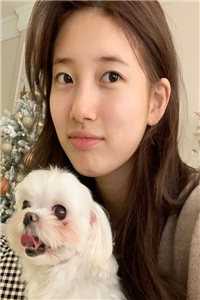 公主被读心后，想刀人的心按耐不住郑珣昭元全文小说