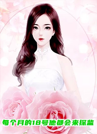 风流艳医张扬夏雪全文小说