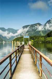 李福海宋观潮的小说官途风云小说阅读