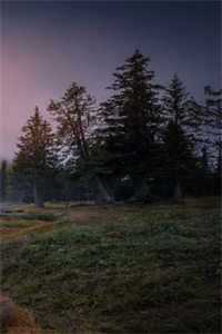 完结版小说洗净铅华不染尘by沈箐箐许怀安