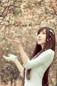 爱似烟花情易冷宋雪薇段哲轩