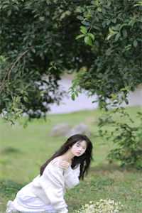 陈阳乔英姿写的小说美人多娇画青云