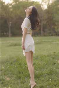 不如相忘于人海陆晚宁莫廷言最新章节免费阅读