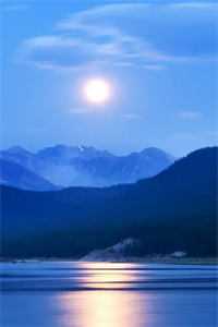 当表妹说她是重生时，我配合她表演苏佩诗黄俊结局+番外