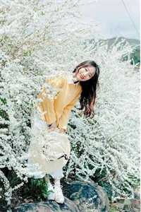 姜心柔杨卓宇结局免费阅读二婚玫瑰番外