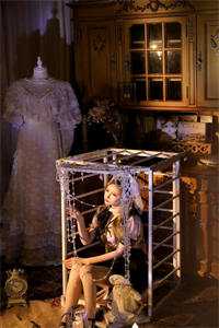 从此星空寂寥许星颜厉宸风全文免费