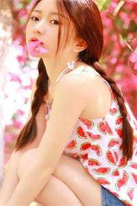 梨花葬于盛夏方梨顾瑾行全局