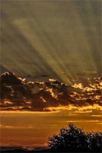 相爱很难离别易散裴清衍江听绾最新章节免费阅读