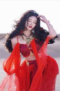 林薇沈廷墨的小说爱随烟花耀空明小说阅读