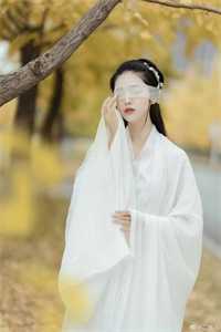 废我皇位,我不要了怎的还急眼了小说叶羽叶清婉