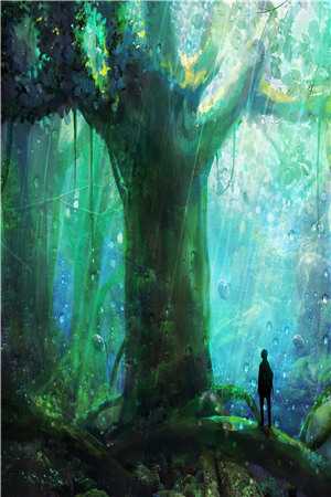 风流艳医小说张扬夏雪