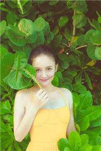 完结版小说被渣离婚后，闪婚前夫他孪生哥哥by贺冥林娇