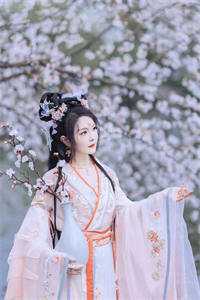 官婿美人香热门小说刘志中张宏阳