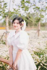 沈琛周婉婉高攀不起的金丝雀小说全文免费阅读