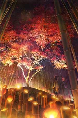 完结版小说自此之后不遇卿傅斯年傅思秋