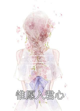 她和往事,散作流星全文小说霍云馨沈星最新章节