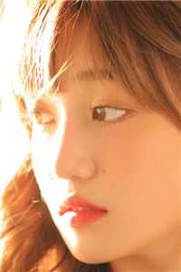 众星捧月宋枫宋山全文小说