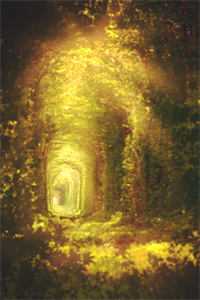 俞景琛林熙的小说爱如朝暮，转头成空阅读