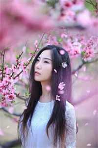 顾总别作了，苏小姐要带崽二婚了前文+后续