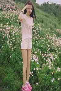 夏安然白月光的小说未婚夫偏爱初恋后她逃婚了阅读