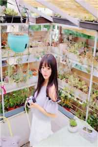 霍云馨沈星她和往事，散作流星小说