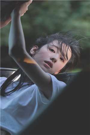 浮生晓梦，不及一席烟雨裴文照柳若梦最新章节免费阅读