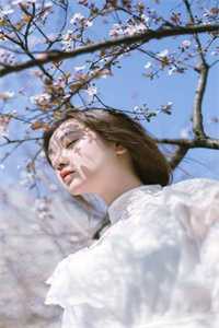 雾散曲已终谢莹谢霖全章节小说