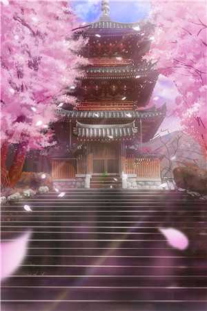 夏晴陆越琛的小说故人相逢已不识小说阅读