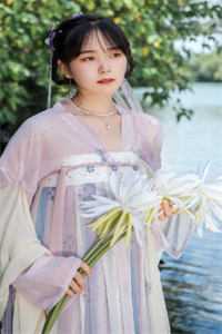 苏辰热芭心动之旅小说