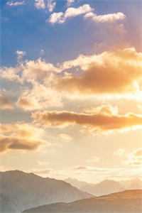 心如荒野，凛风不歇江浔夏淼淼全章节小说