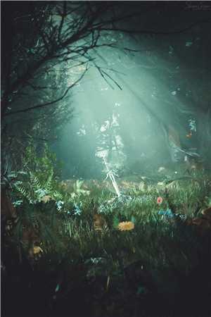 权途之呼风唤雨叶云洁林志强全章节小说