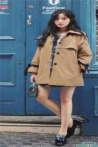 烂在梦中的玫瑰后续+完结