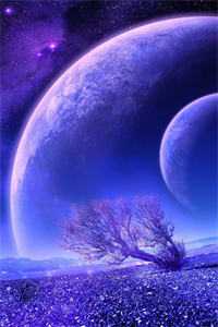 昔日与卿共枕眠，如今飘灯独自归姜梦晚裴淮远结局+番外