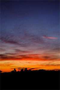 春风不渡情深晚顾司悦元琮礼全章节小说