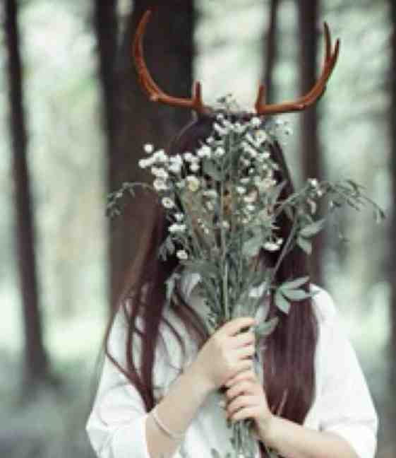 小说三国悍将韩阳吕布全章节免费阅读