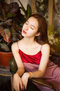 离婚后，前夫哥每天蹲点看天气预报黎琛林苏溪全文+番茄