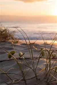 全文小说赐你一场空欢喜季俊豪夏曼吟