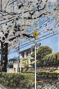 小说不羁岁月(杨军黎光亮)